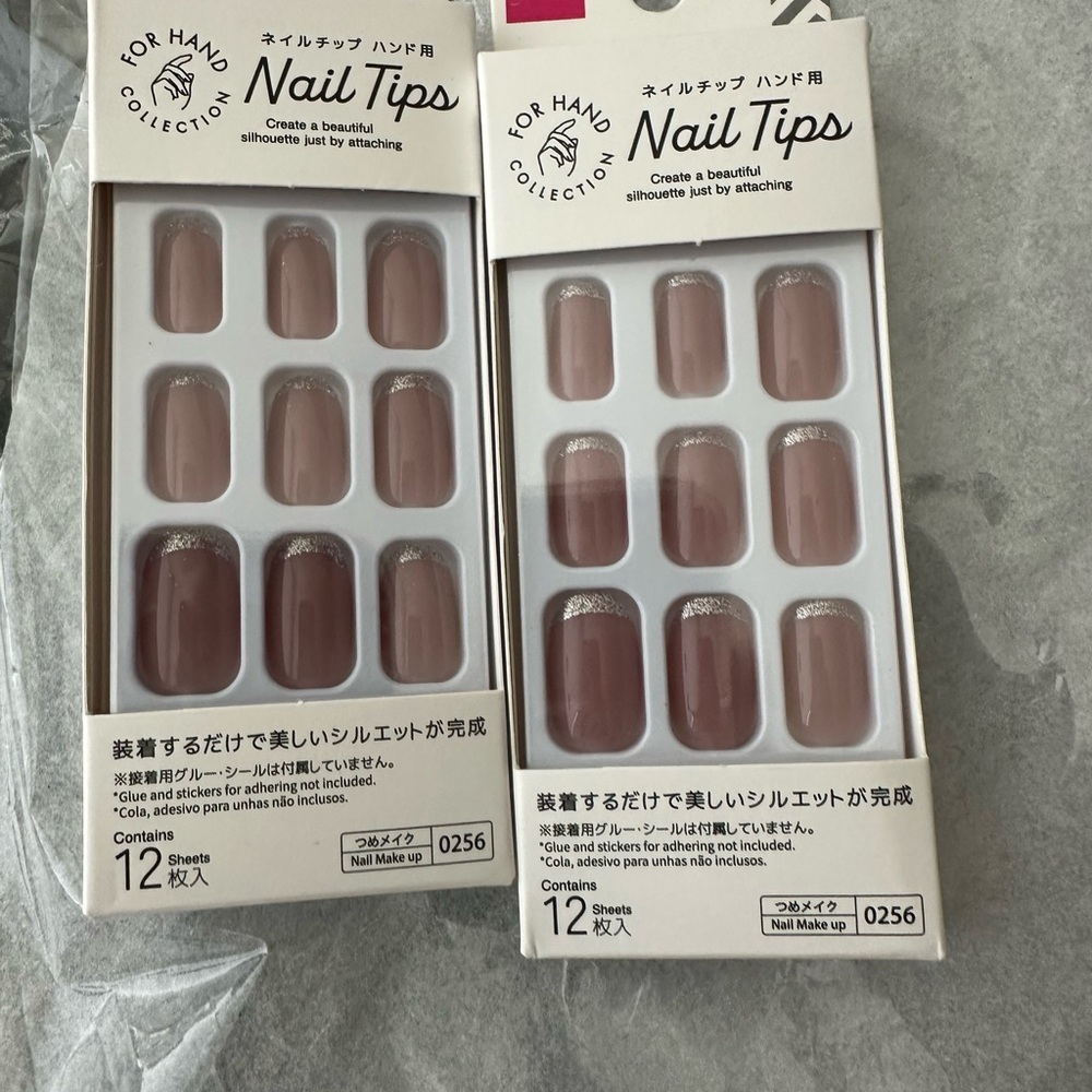 Nude and Silver Press-On Nails